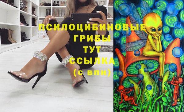 ГАЛЛЮЦИНОГЕННЫЕ ГРИБЫ Дмитров